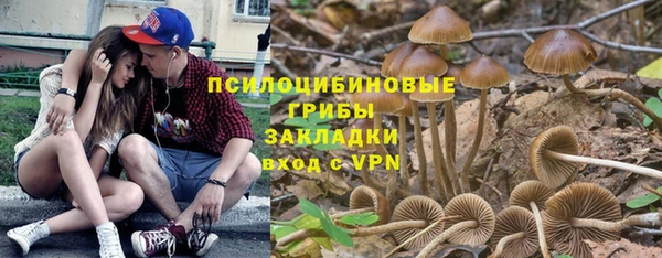 молекула духа Алзамай